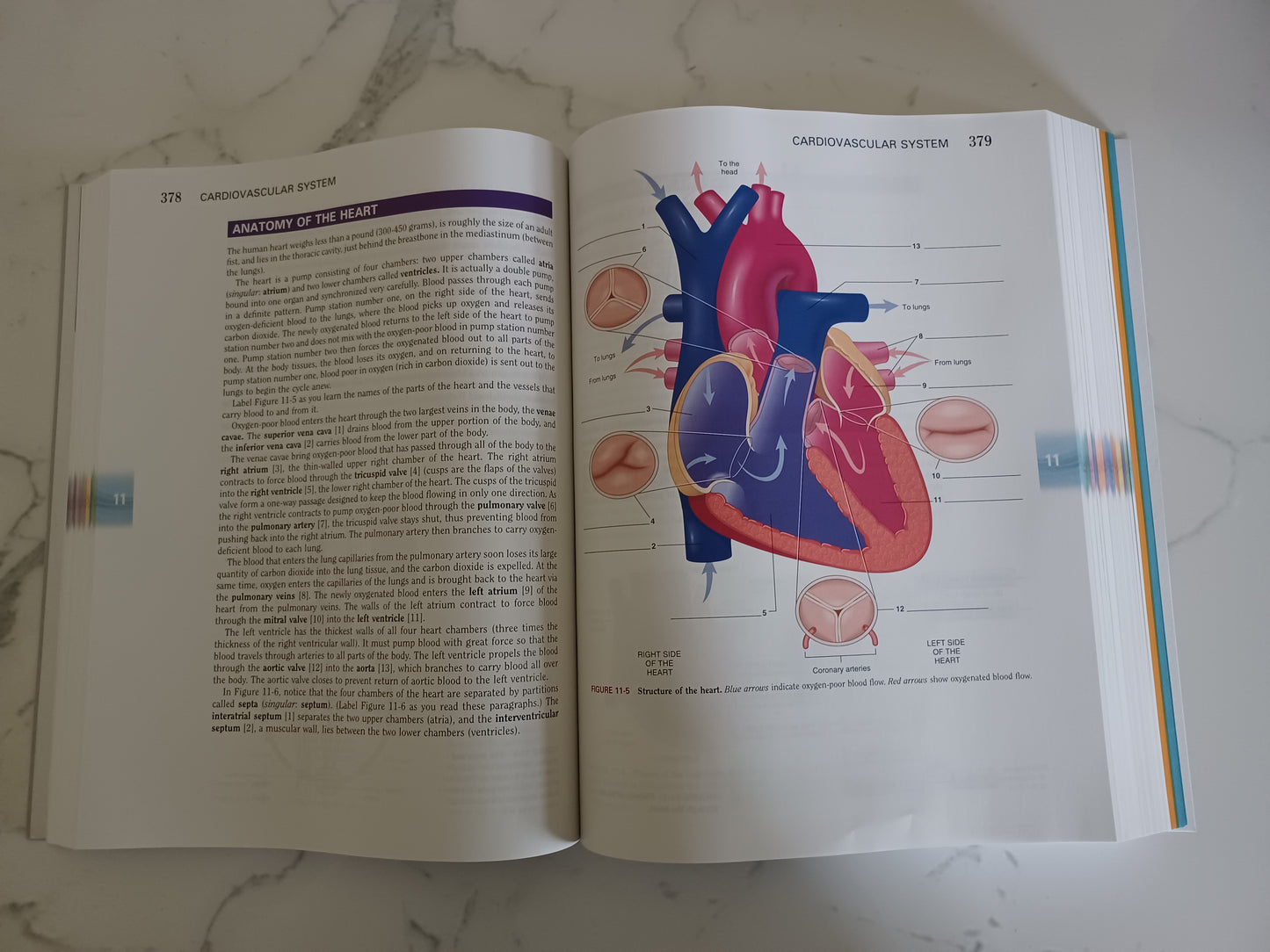 Distance Education to Jump Start your Medical Career
